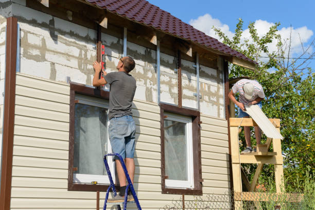 Best Vinyl Siding Installation  in West Hammond, NM