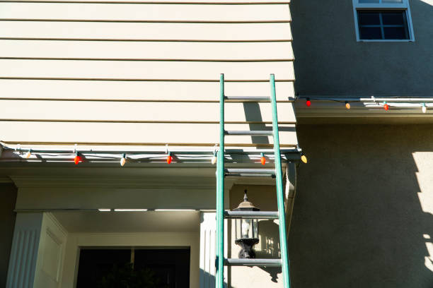 Best Vinyl Siding Installation  in West Hammond, NM